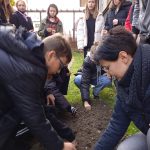 uczniowie klasy 8a wraz z nauczycielką biologii panią Ksenią Dźwigońską,która pod względem ogrodniczym koordynowała akcję sadzenia cebulek