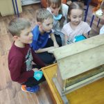 Uczniowie obserwują pszczoły przez szklaną szybę ula